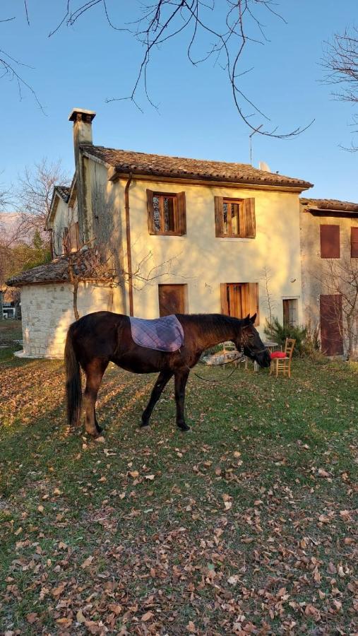 La Caneveta Al Piave Villa Valdobbiadene Exterior foto