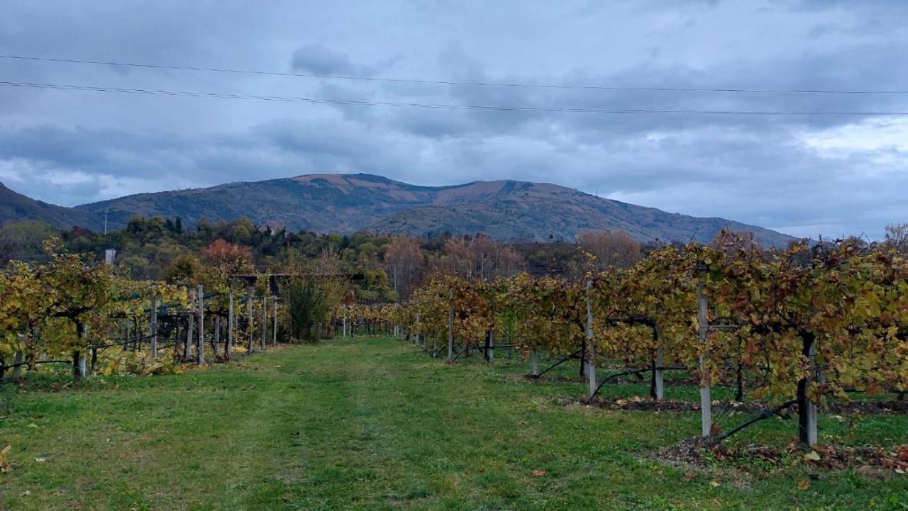 La Caneveta Al Piave Villa Valdobbiadene Exterior foto